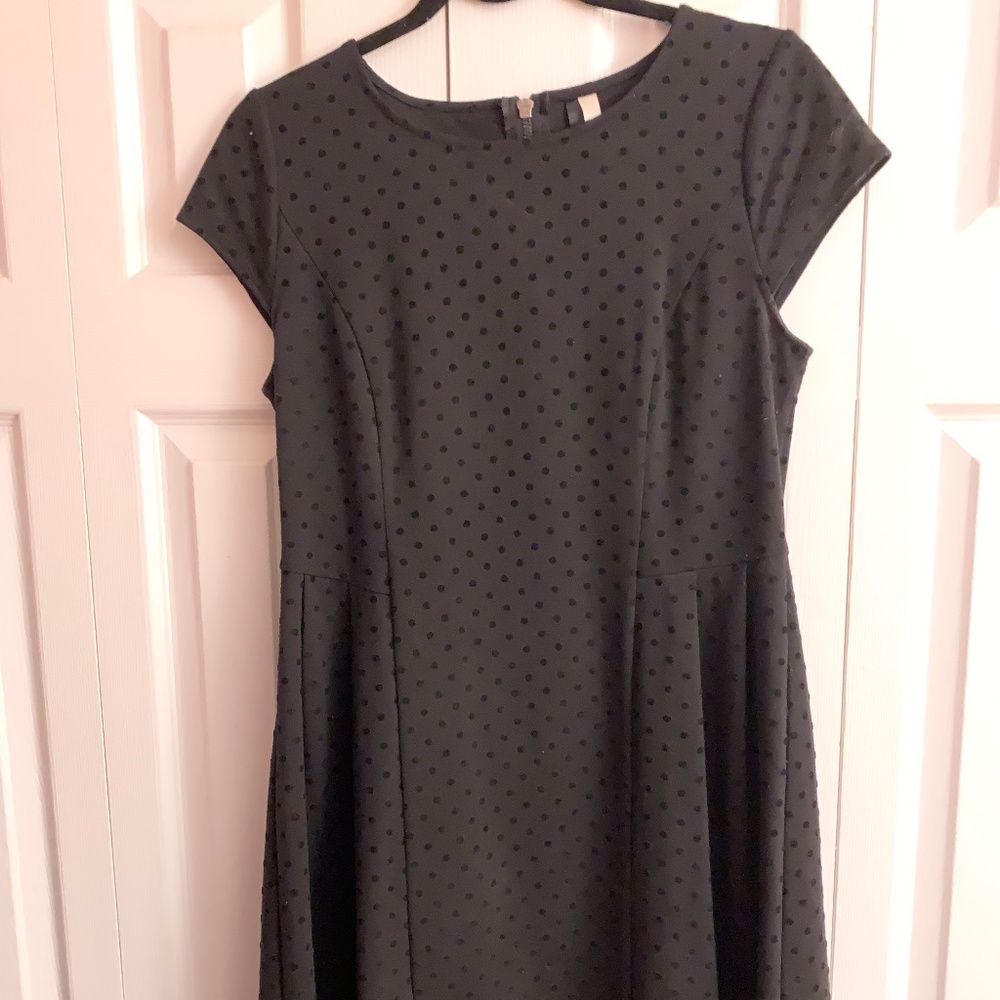 Short Sleeve Black Polkadot Dress (Kensie)